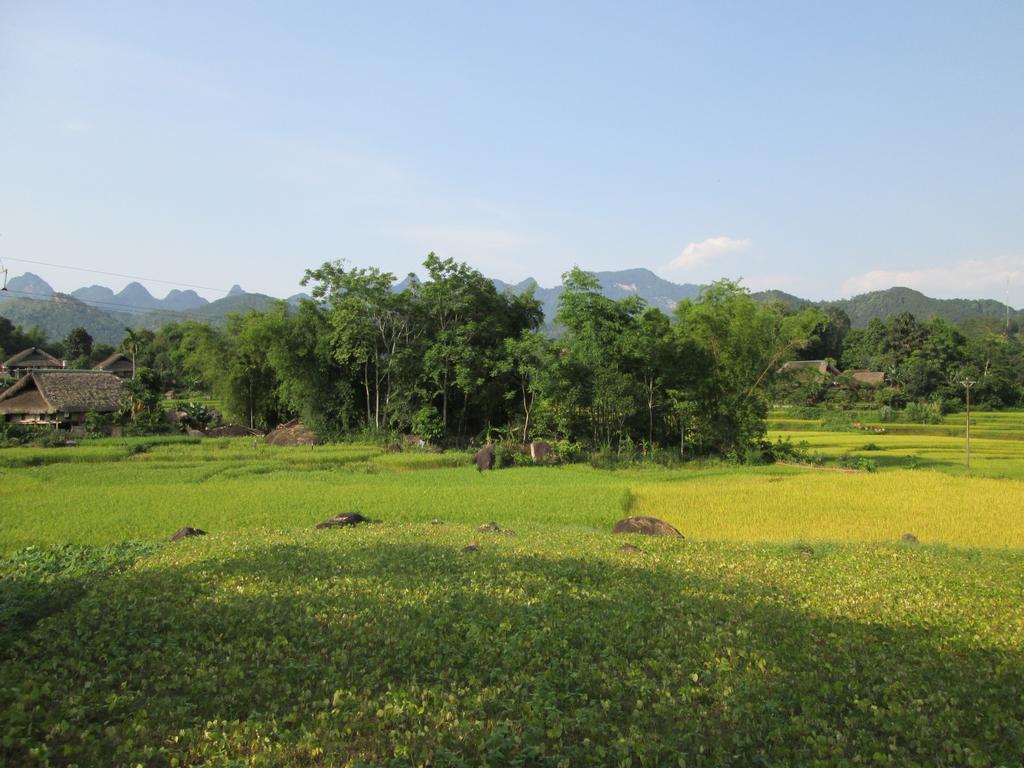 Dong Que Homestay Ha Giang Bagian luar foto