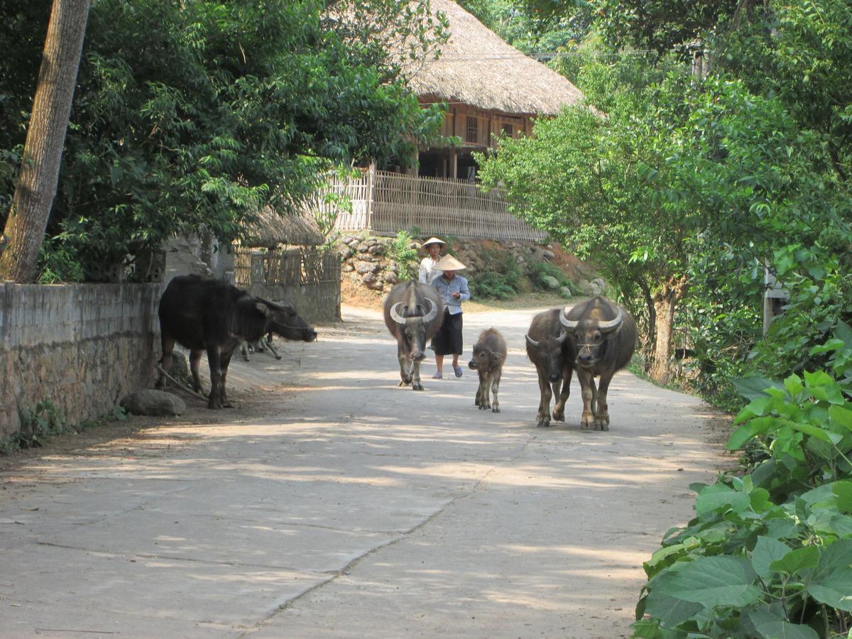 Dong Que Homestay Ha Giang Bagian luar foto